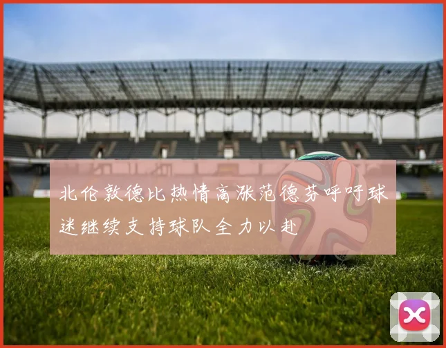 北伦敦德比热情高涨范德芬呼吁球迷继续支持球队全力以赴