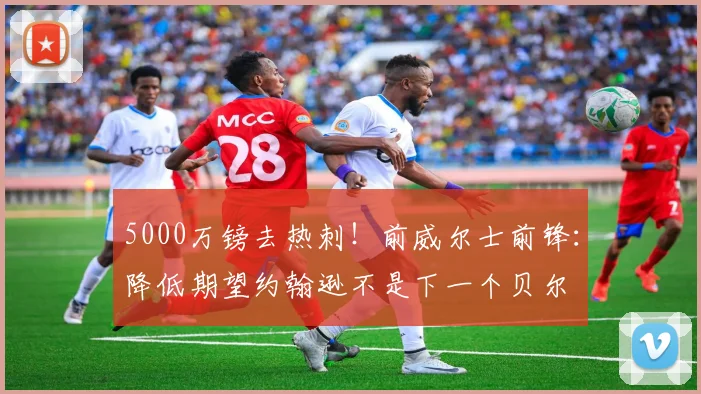 5000万镑去热刺！前威尔士前锋：降低期望约翰逊不是下一个贝尔
