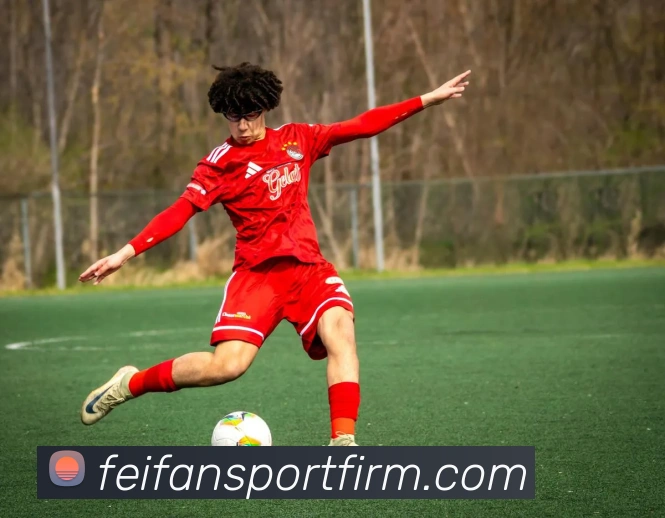 非凡体育APP 封面图